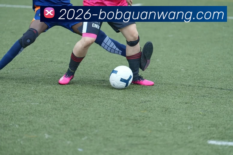 bob官网平台生态图
